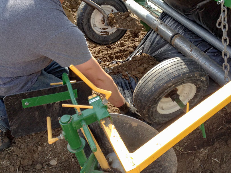 Man feeding plastic mulch sheet through rollers on a piece of equipment.