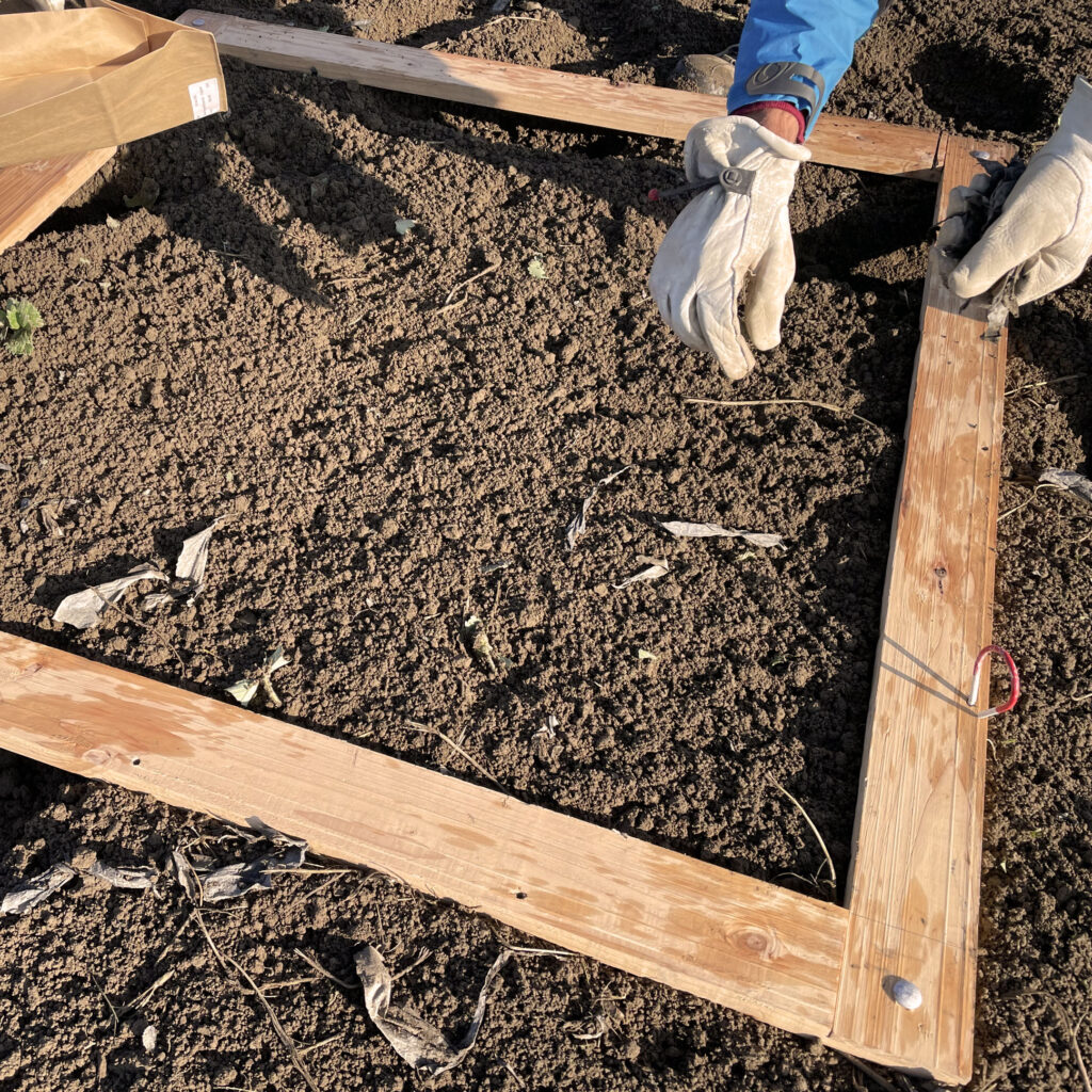 A square frame constructed of wood boards marks out a sampling area on bare soil.