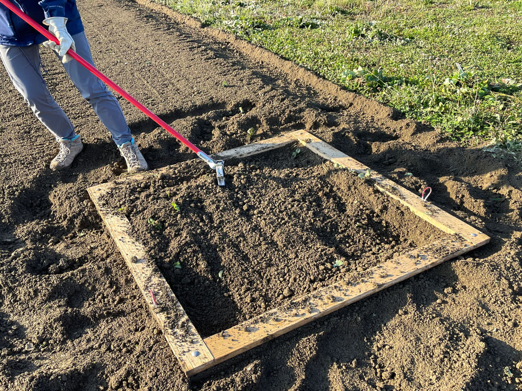 Person using a hoop hoe to turn soil inside a wooden frame.