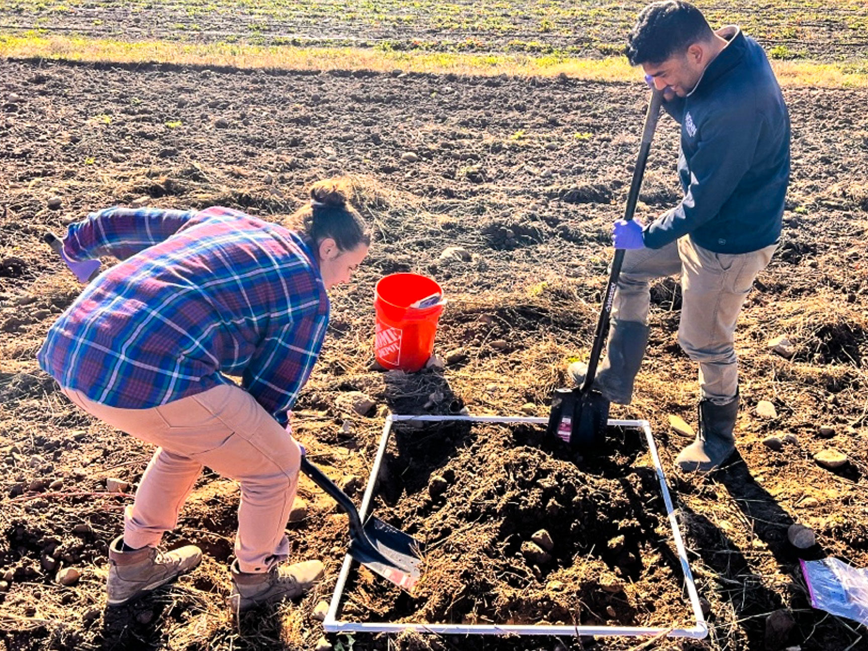 Two people using shovels to turn over soil inside a PVC sampling frame.