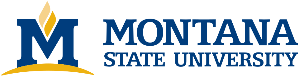 California State University Chico