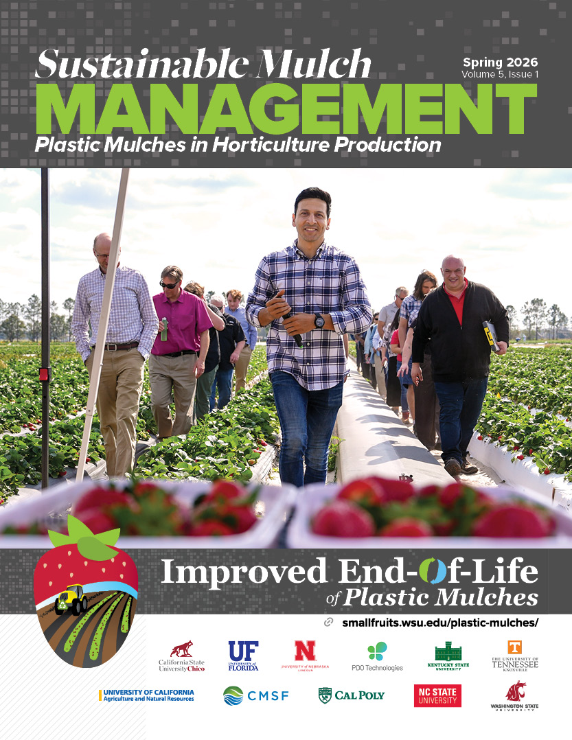 Cover of Sustainable Mulch Management: Plastic Mulches in Horticultural Production. Spring 2026, Volume 5 Issue 1. Farhad 'Hadi' Ghasemi leads a tour of research fields.