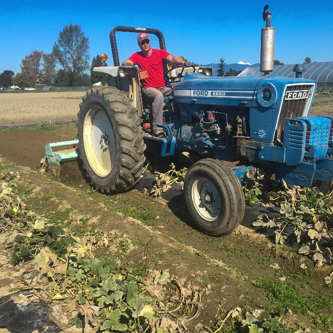 Un hombre que utiliza un motocultor montado en un tractor para mezclar mantillo BDM en un campo.
