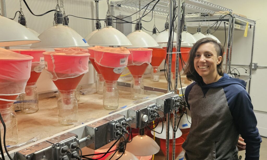 A smiling person with dark hair wearing a grey hoody with blue sleeves stands in front of racks of orange funnels in clear glass jars with heat lamps above each funnel.
