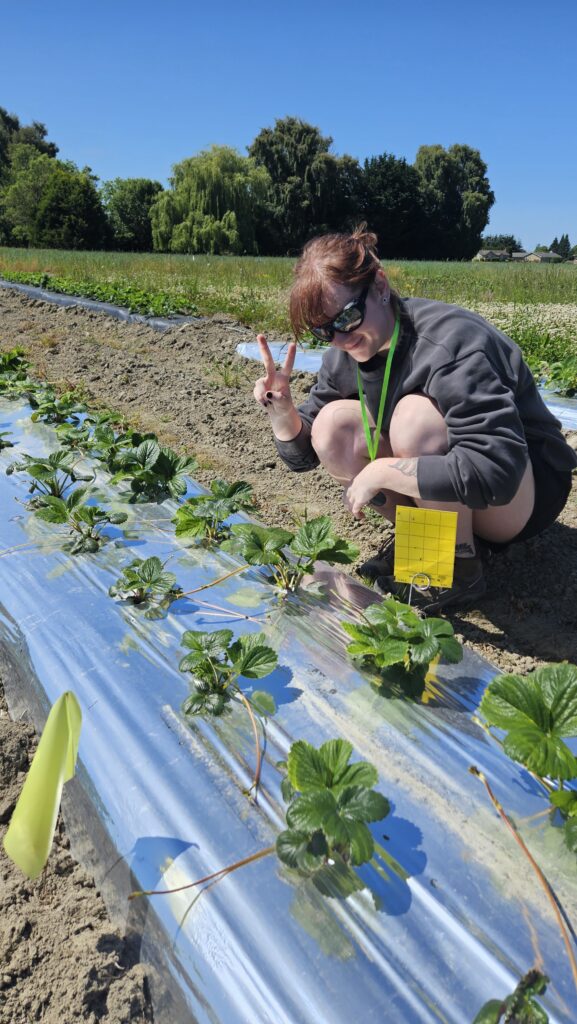 Julia crouching next to a row of small plants planted in reflective mulch flashing the peace sign.