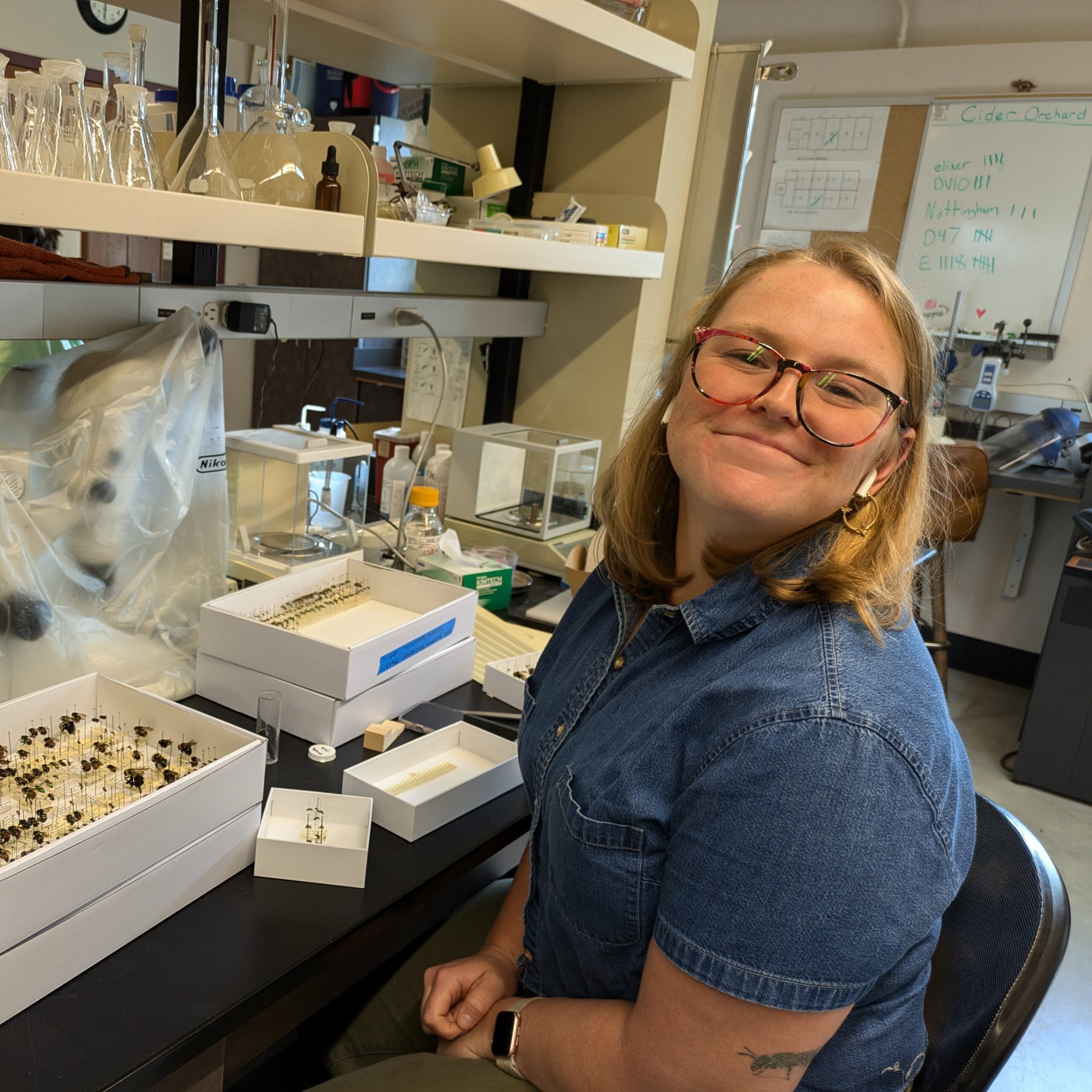 a smiling person with shoulder length blonde hair is wearing a denim shirt and sitting in front of many boxes of pinned insects in a lab.