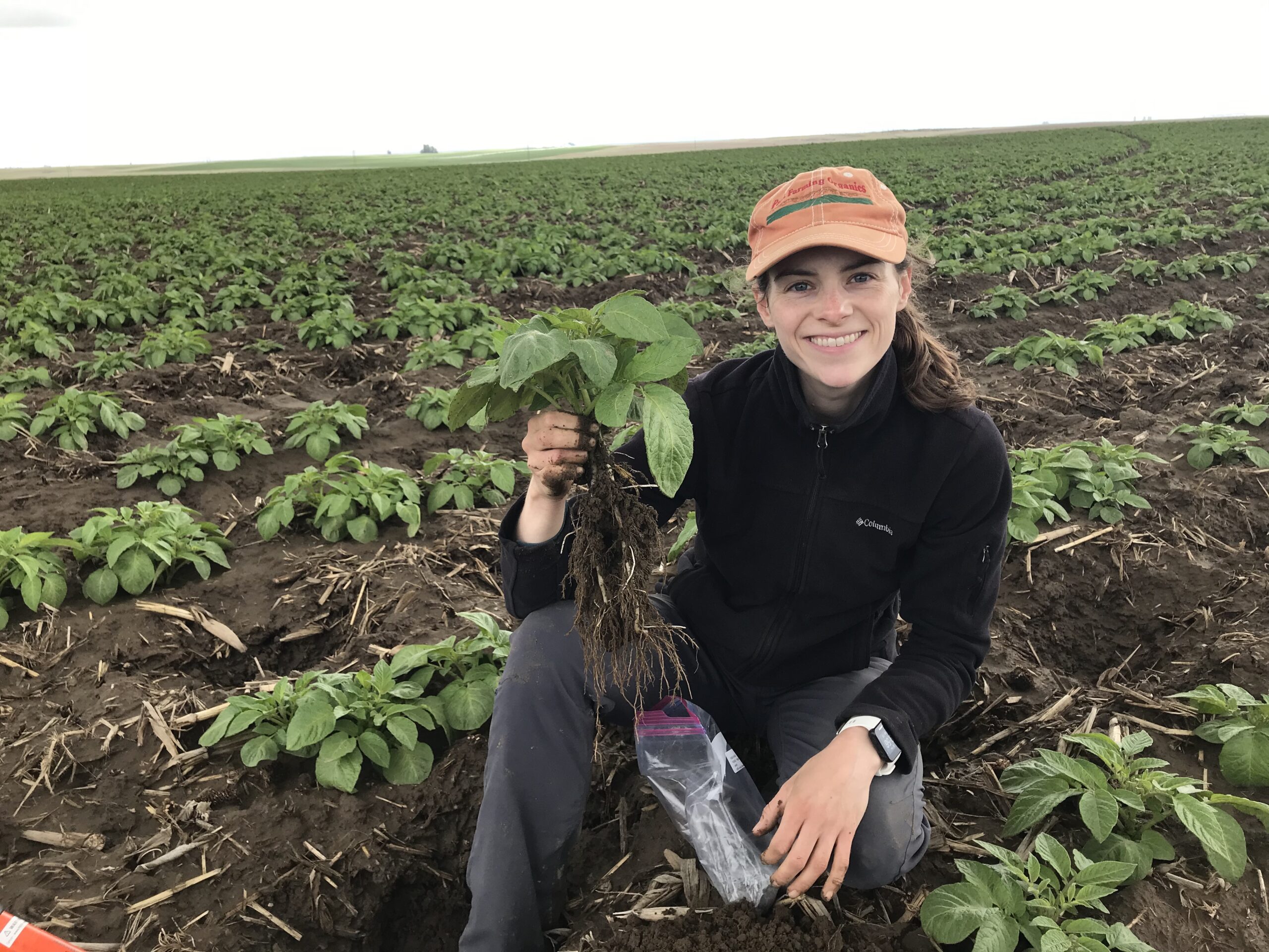 Deirdre Griffin in kneeling in the dirt of a potato field holding a sprouting plant.