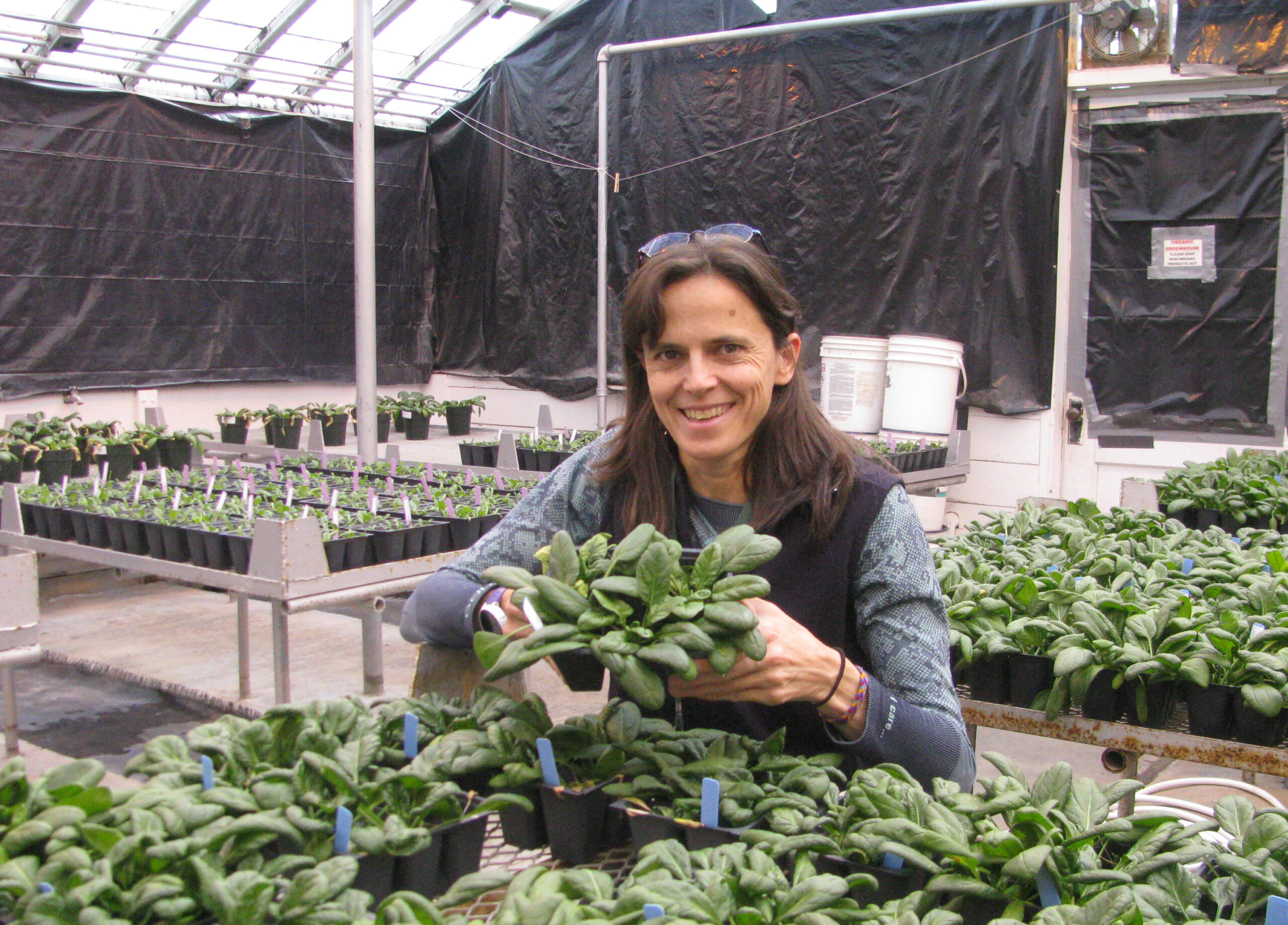 Lindsey Dutoint holding a pot of sprouting spinach.