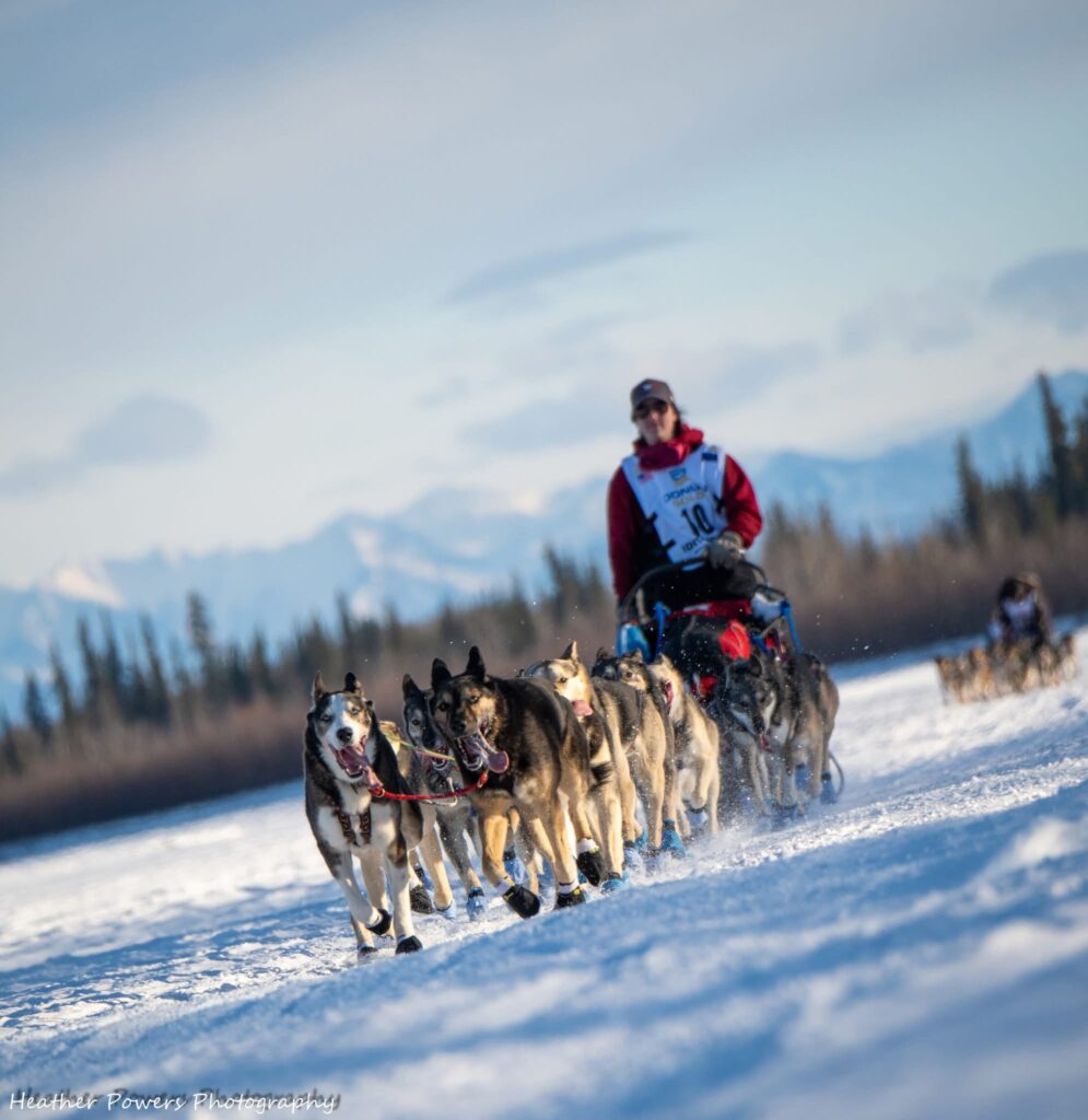 A musher with a team of sled dogs running through the snow. Trees and mountains are behind them, as well as another musher and another team of sled dogs in the distance.