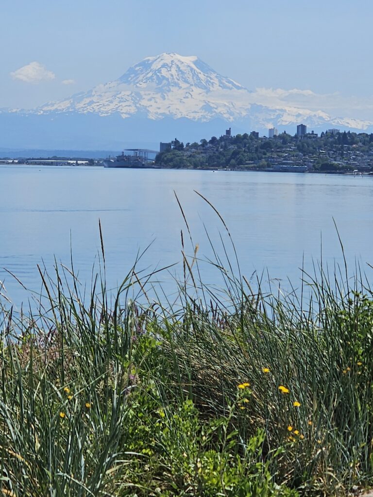 View of grass, water, a city skyline, and a mountain.