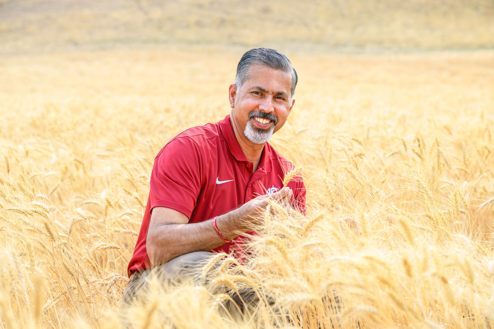 Raj Khosla kneeling in a wheat field.
