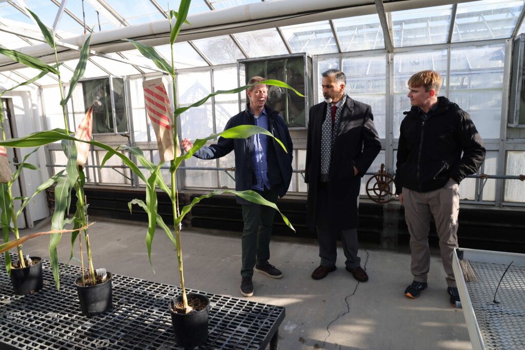 Three people stand in a greenhouse. In the foreground are a few plants in pots on a table.