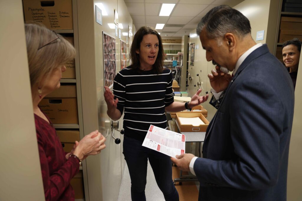 Four people stand together in a herbarium with walls full of boxes of specimens. One gestures while speaking to another person who holds an informational paper and looks down at it. Two others look on.