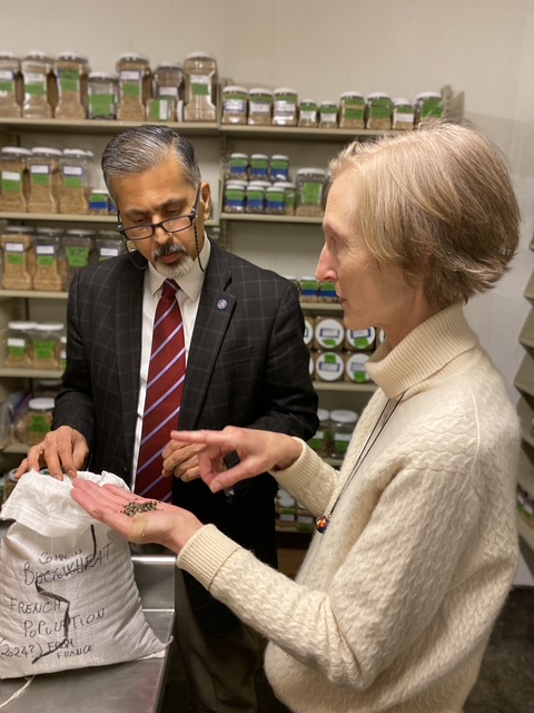 Raj Khosla stands with Micaela Colley, who is holding buckwheat seeds in her hand. Raj is looking down at the seeds. Behind the pair are jars of seeds on shelves.