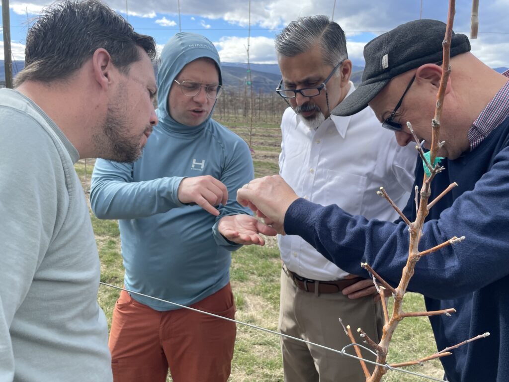 Four people stand together in an orchard examining an apple bud that one of them is holding.