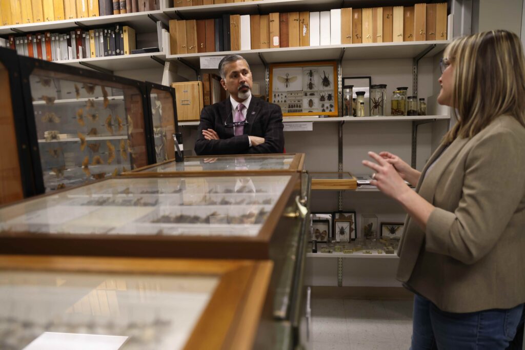 Raj Khosla stands in a room full of cases full of insect specimens, with his arms folded. Elizabeth Murray gestures while speaking to him and standing next to insect cases.