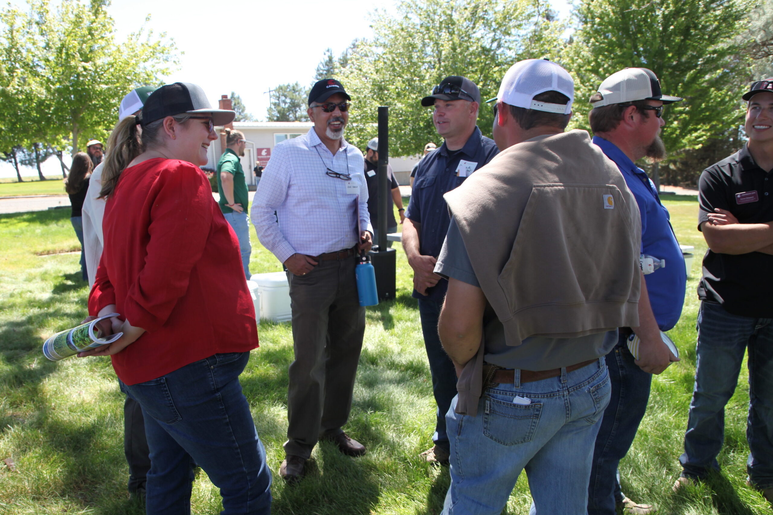 Several small groups of people conversing in a grassy area with trees.