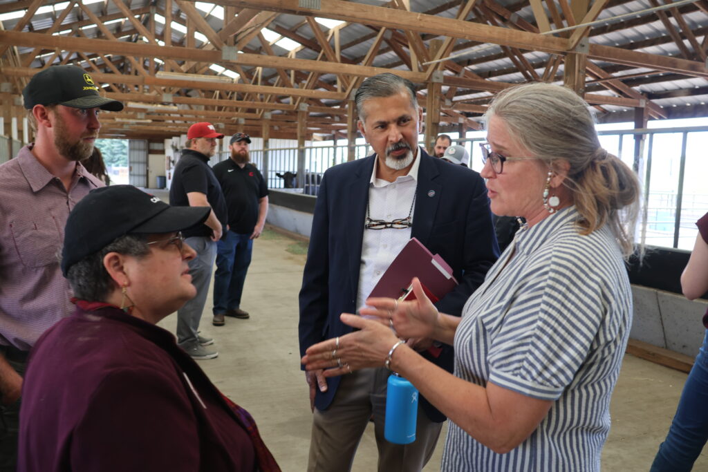 Four people stand in a group, conversing, inside of a large barn structure with cows. A few people stand in the background.