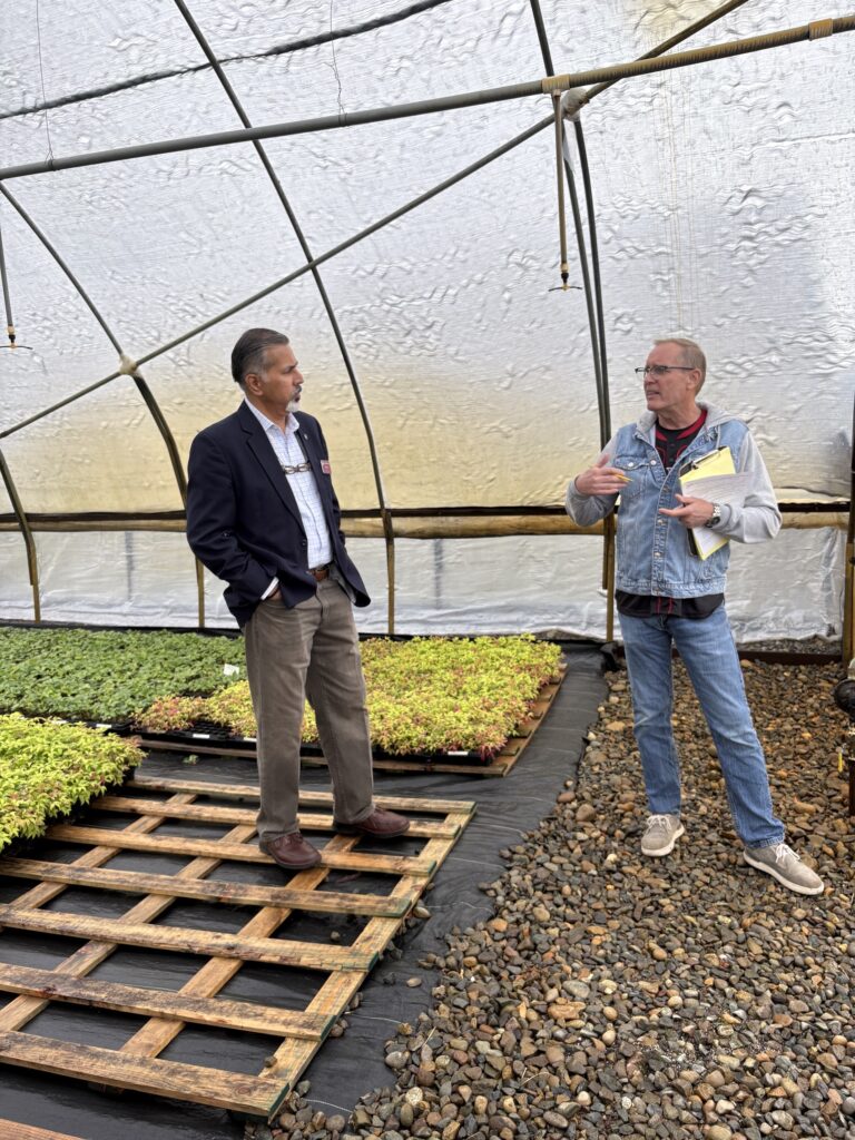 Inside a polymer hoop house with pallets of young plants, a man in a dark sports coat watches as a man in a denim jacket gestures while holds a clipboard. 