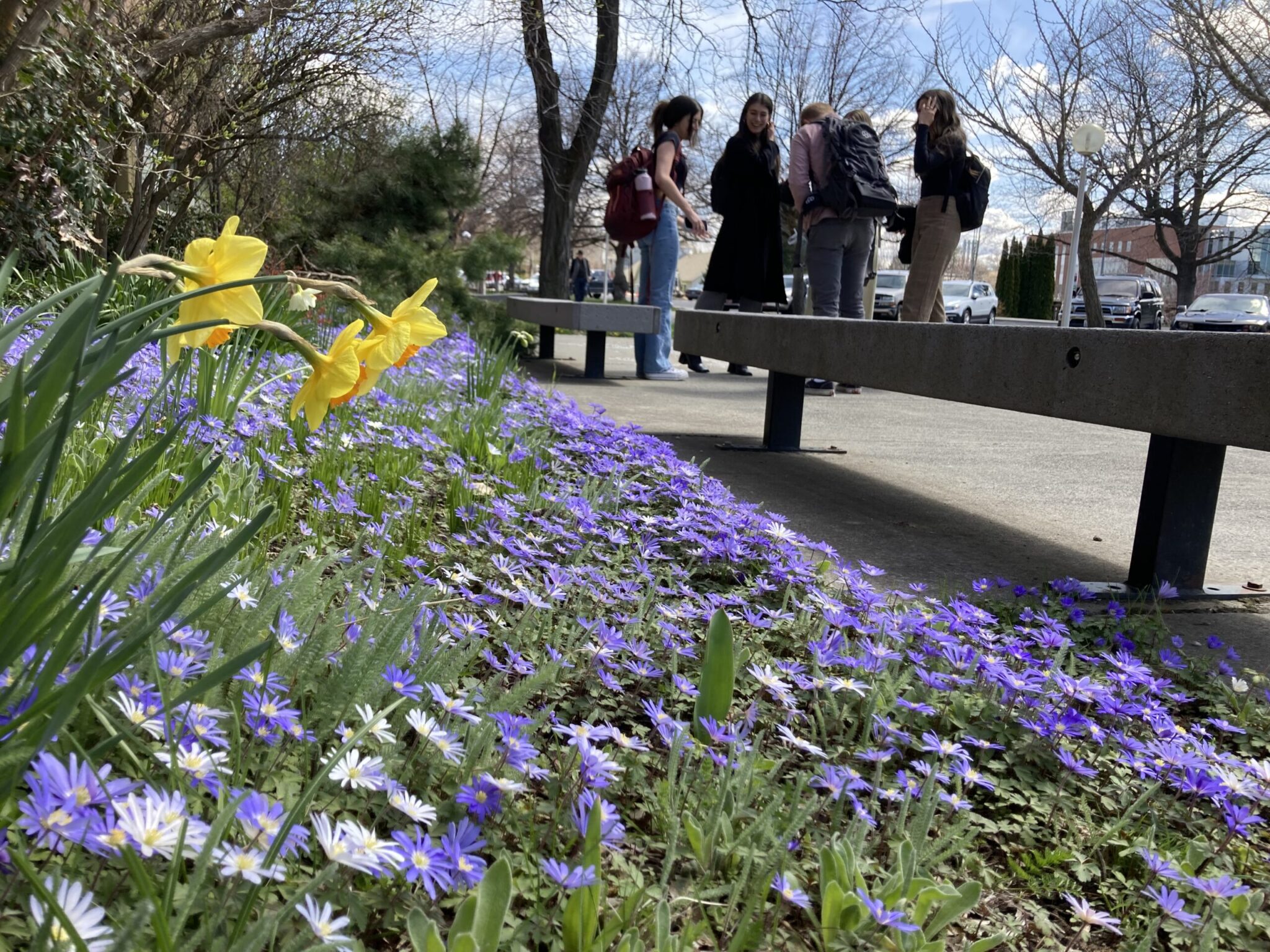 Wsu Pullman Spring Break - b80goty