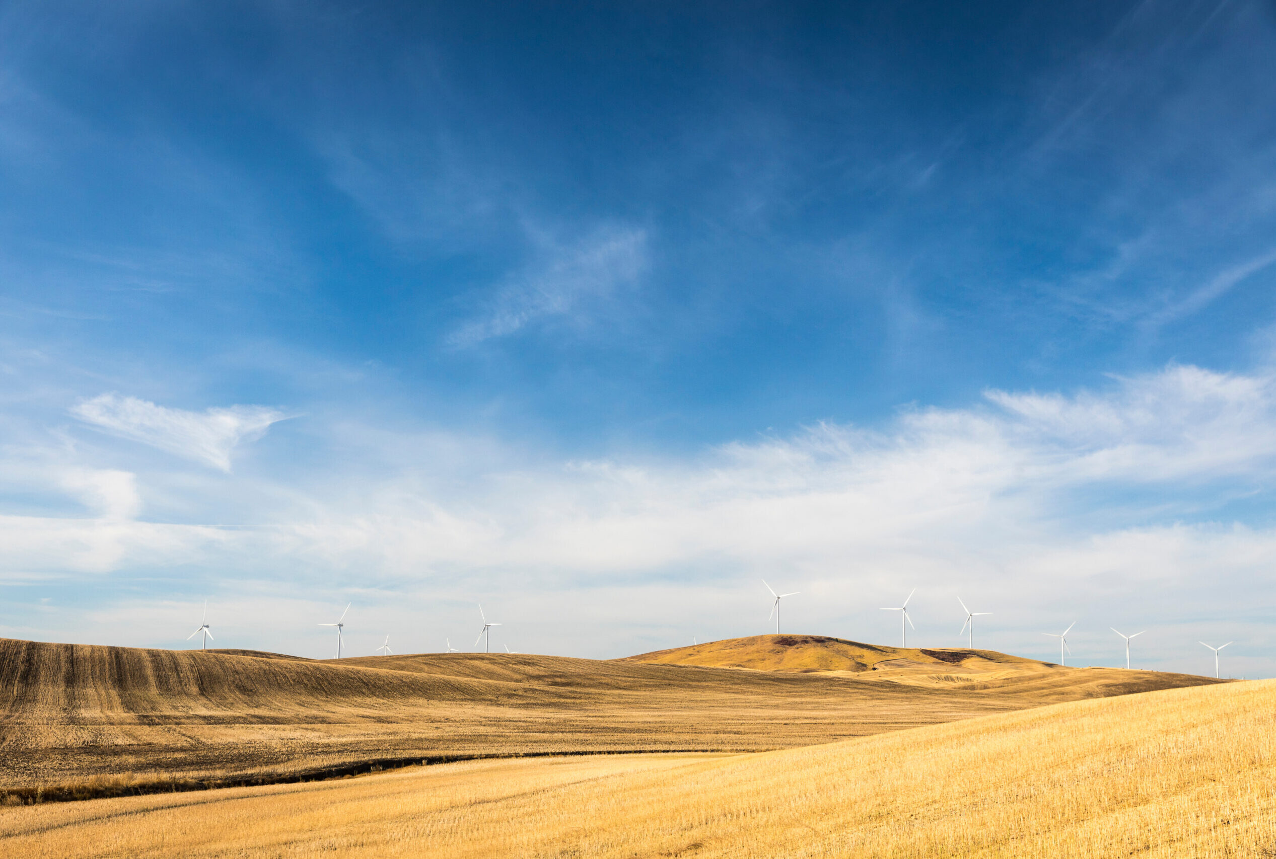 The Palouse in Eastern Washington