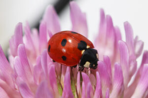 14067582760_7063fdf312_k