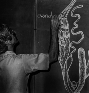 Catts draws a diagram on a chalkboard.