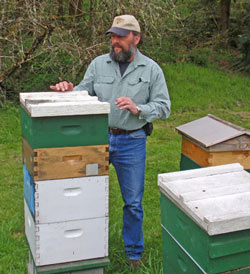 Mark Emrich with honey bee hives.