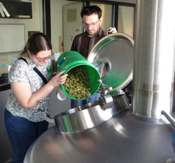 WSU researcher Ruth Henderson pours hops into a tank at the Sierra Nevada Brewing Company in Chico, Calif., as Abe Kabakoff, Sierra Nevada head pilot brewer, looks on.