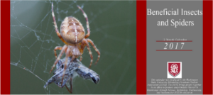 egsa-calendar-fundraiser