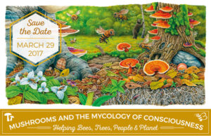 Mushrooms & the Mycology of Consciousness