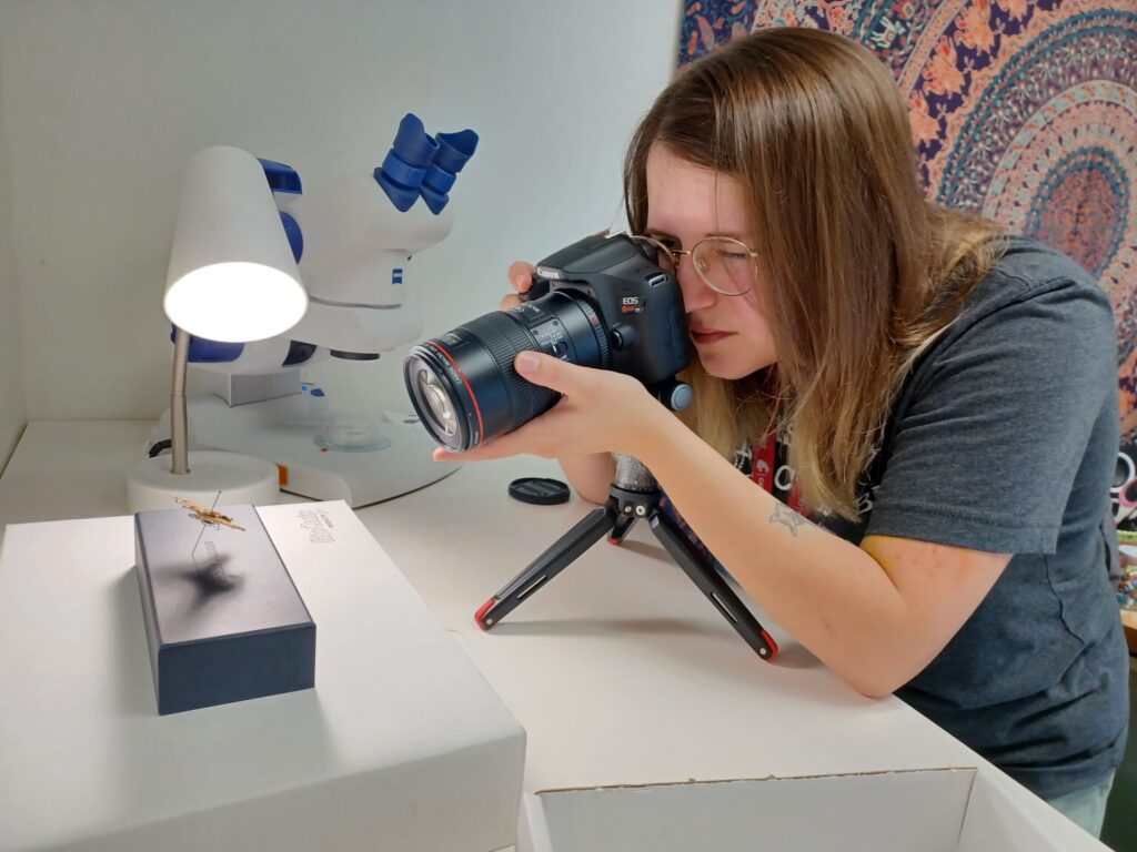 A student takes a picture of an insect.