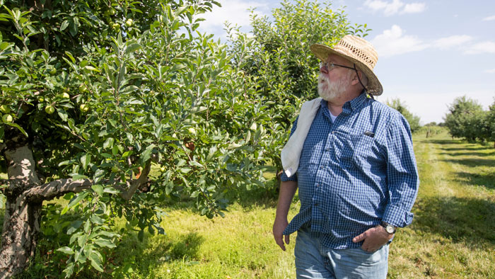 Maciej Pszczolkowski