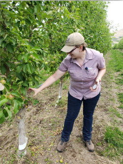 Rebecca Schmidt-Jeffris