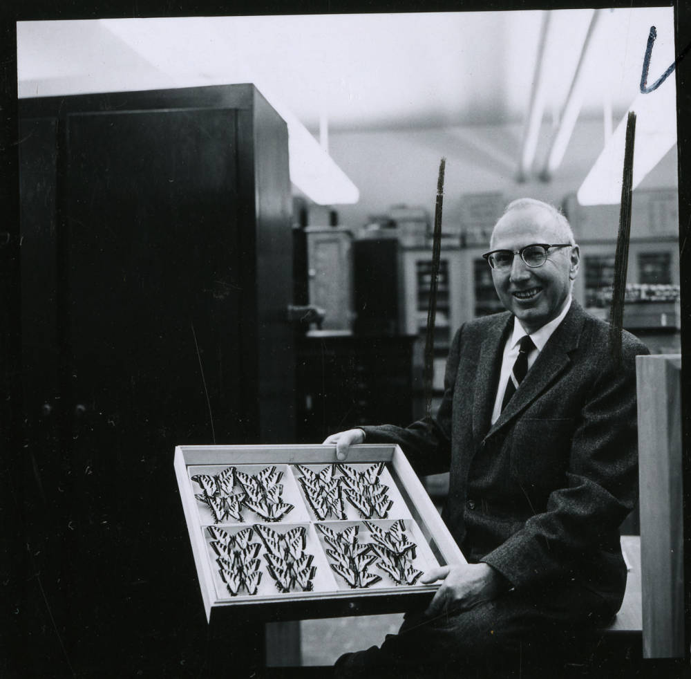 A man in a suit holds up a case with butterflies inside of the museum.