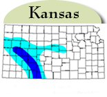 Map of Kansas with counties with jointed goatgrass highlighted in blue. 