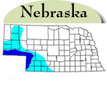 Map of Nebraska with counties with jointed goatgrass highlighted in blue. 