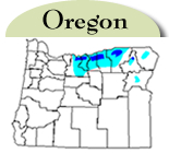 Map of Oregon with counties with jointed goatgrass highlighted in blue. 