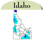 Map of Idaho with counties with jointed goatgrass highlighted in blue.