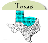 Map of Texas with counties with jointed goatgrass highlighted in blue. 