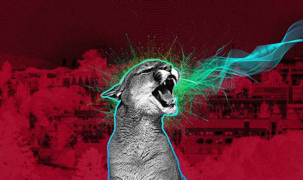 Cougar with mouth open.