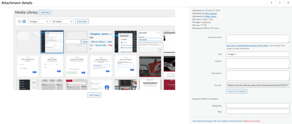 Screenshot of an individual image file in the WordPress media library.