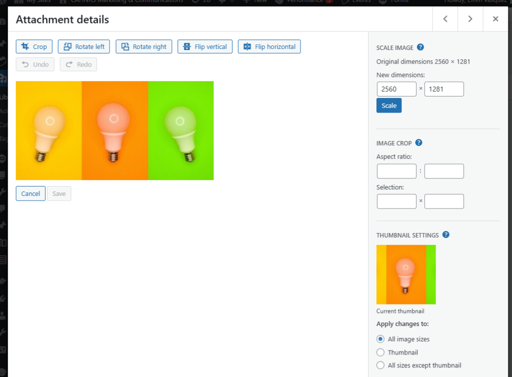 Screenshot showing the different options available when editing an image.