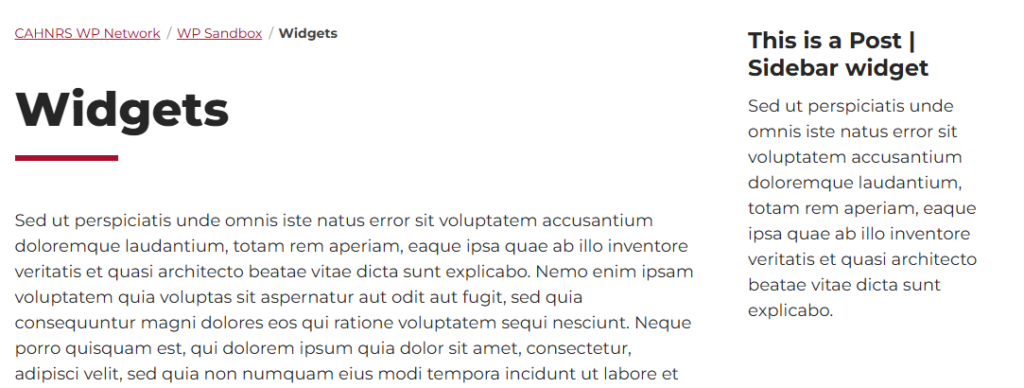Screenshot showing the widget area on the Post | SIdebar.