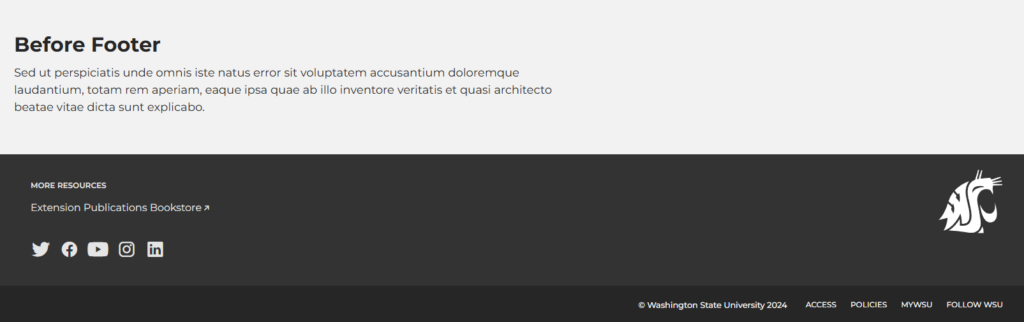 Screenshot showing the before footer widget area.