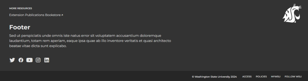 Screenshot showing the Footer widget area.