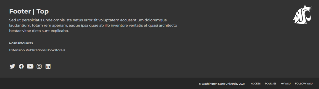 Screenshot showing the Footer | Top widget area.