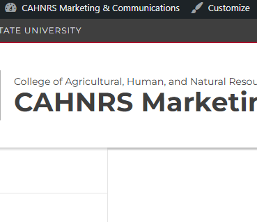 Screenshot of the WordPress admin bar showing the Customize link.