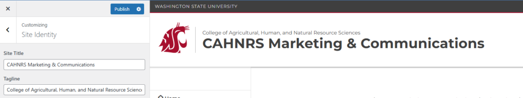 Screenshot showing the site identity panel in the customizer.