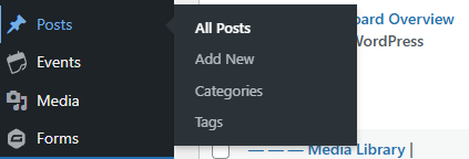 Screenshot of WordPress dashboard showing the hover state of the Posts menu item.